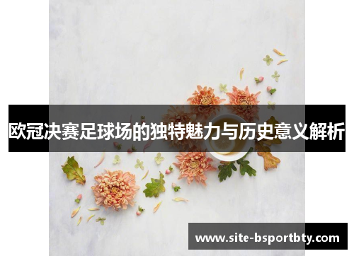 欧冠决赛足球场的独特魅力与历史意义解析
